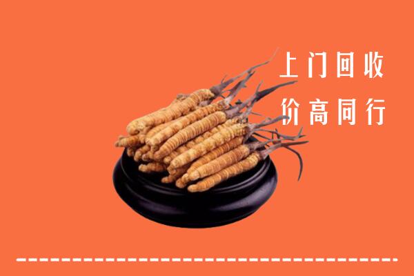 高价求购：晋安回收散虫草