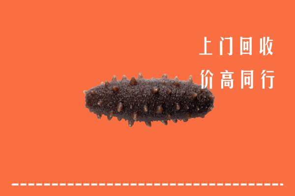高价求购：晋安回收海参