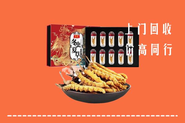 晋安回收虫草